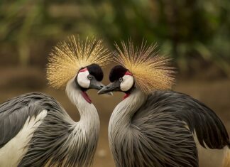 Jak się pierze obrusy?