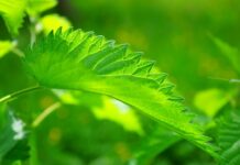 Co to jest ciecz chłodząca?