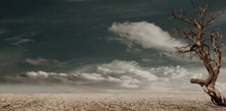 Jak zrobić suchy beton pod obrzeża?