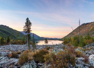 Co jeść na szumy uszne? Co jeść na szumy uszne?
